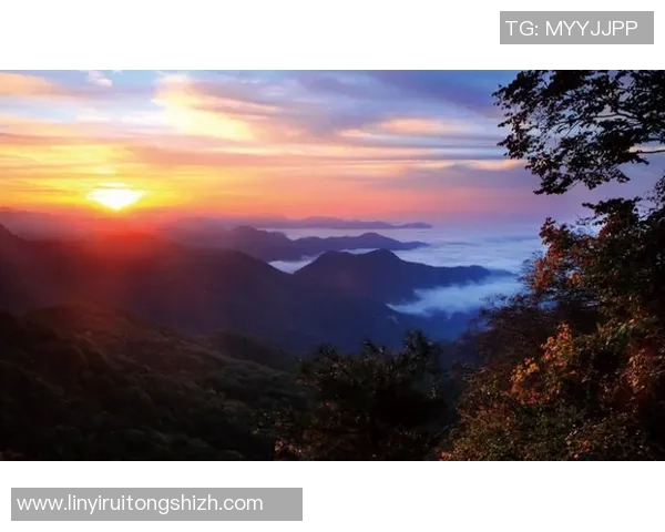 杨芳的攀岩人生：在高峰与深渊之间的深度对话与心灵探索