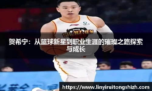 贺希宁：从篮球新星到职业生涯的璀璨之路探索与成长