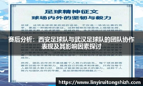 赛后分析：西安足球队与武汉足球队的团队协作表现及其影响因素探讨